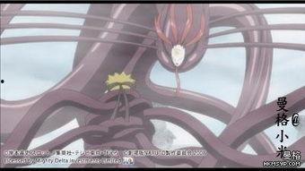 火影忍者零尾最新爆料,揭秘火影忍者终极秘密 第1张 火影忍者零尾最新爆料,揭秘火影忍者终极秘密 第1张